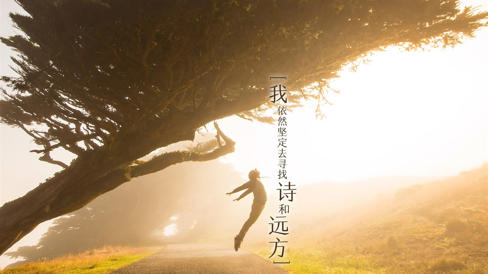 fb体育中国-_铁人三项赛：耐力与技巧的绝佳结合_，铁人三项赛的顺序是什么