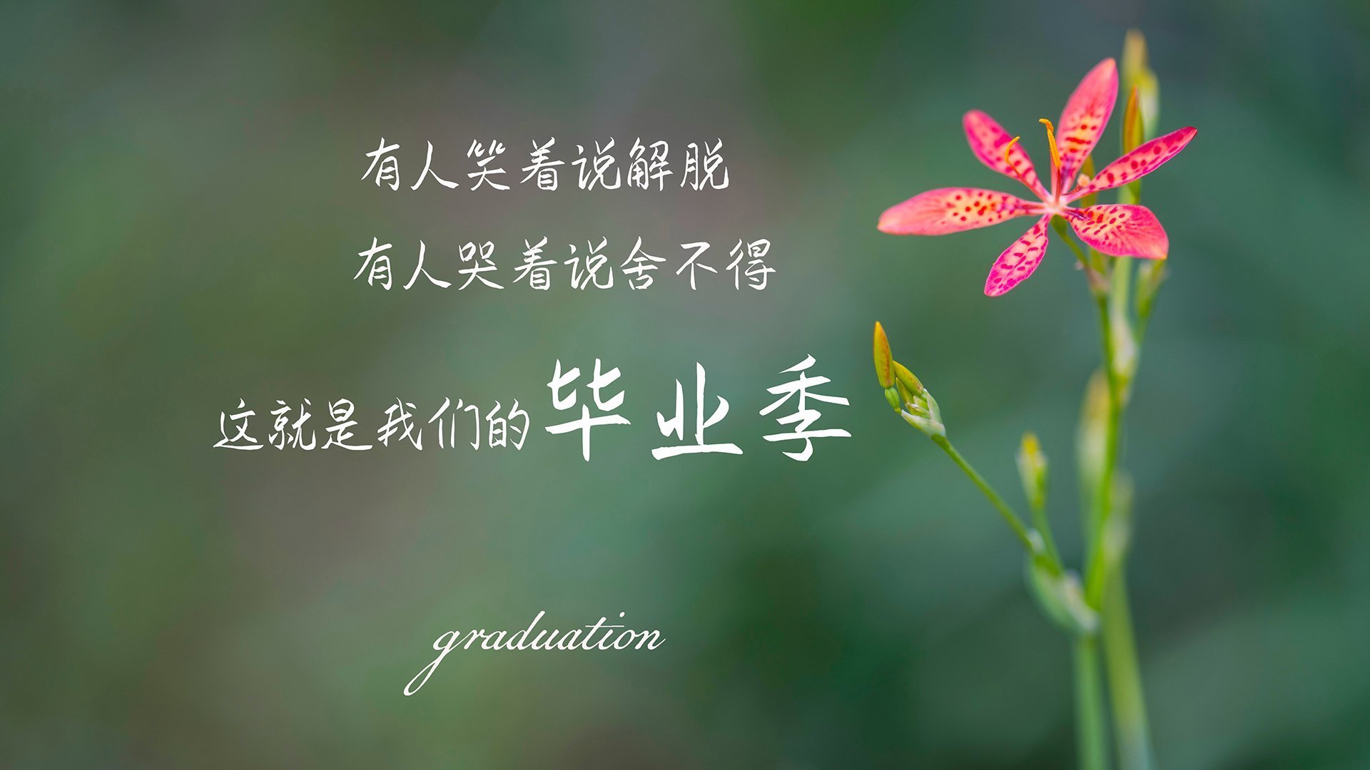 FB体育app下载-_雄鹿队字母哥连续佳绩，领跑联盟_，雄鹿主帅_字母哥取得很好进展 但无复出时