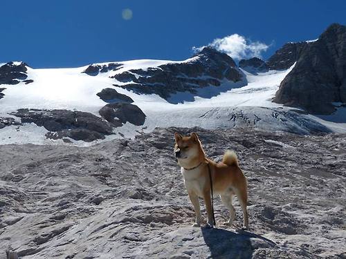 “研究分析：不同球队的战术风格大比拼”，nba球队战术图解