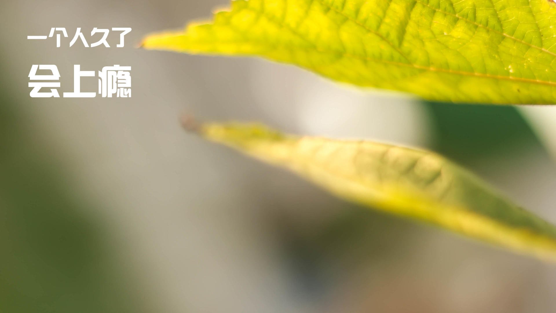 《Dota 2逆转之夜，奇迹频现震撼全场》，dota逆风局