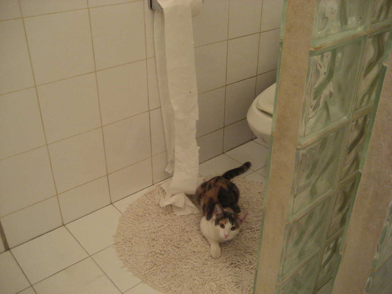 FB体育下载-关键球员：张伟全场砍下30+，成为比赛最大亮点！，张伟打球