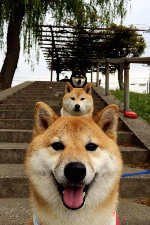 史上最燃的季后赛夜战，哪一场让你振奋？，季后赛战果