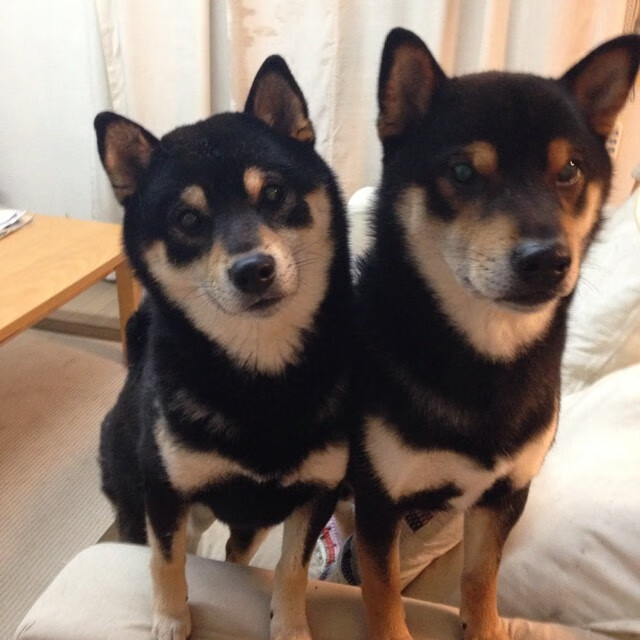 城市体育文化节促进青少年篮球热情，营造健康青春氛围，青少年篮球活动