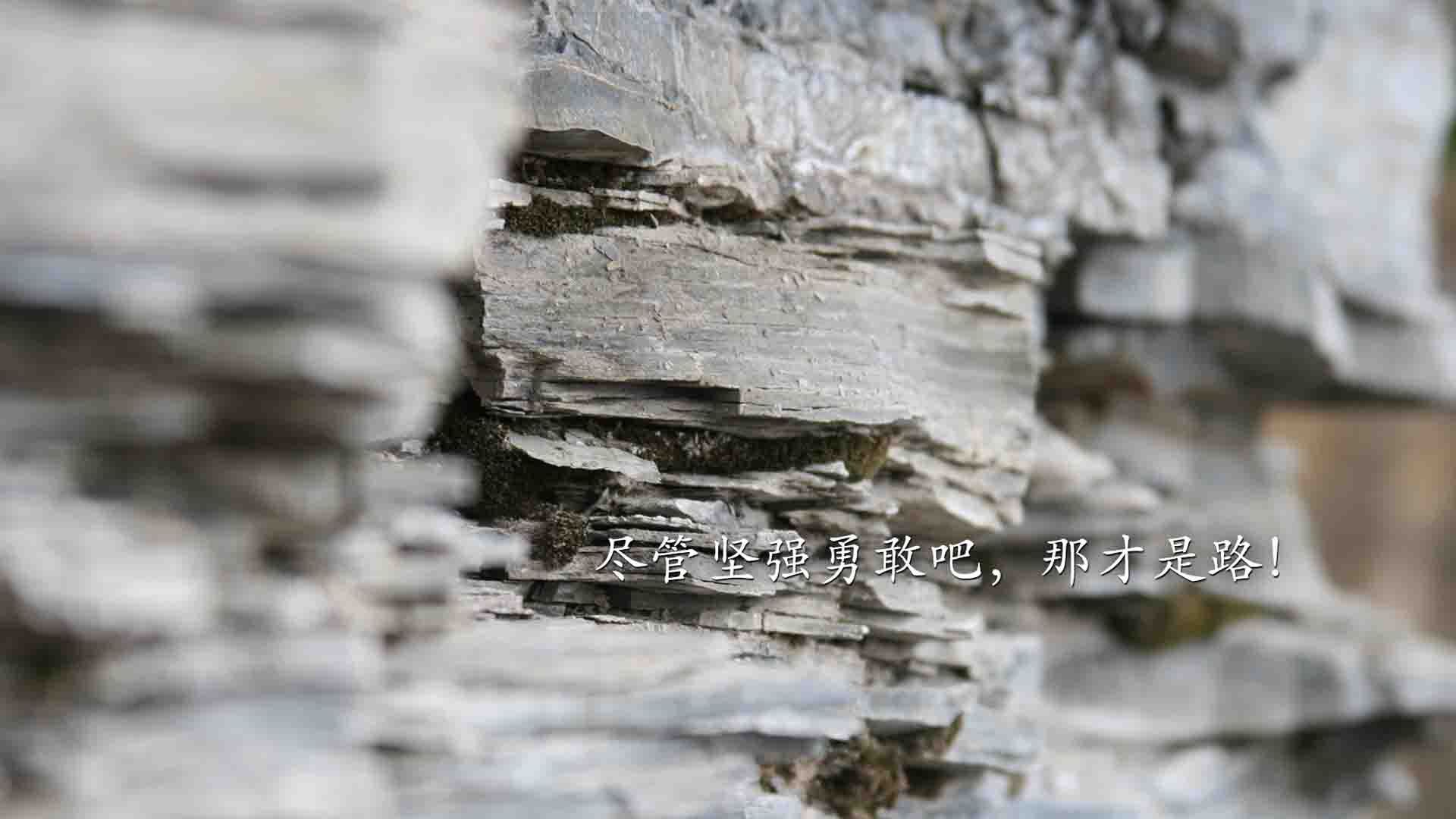 室内攀岩锦标赛，挑战极限攀登的精彩瞬间，室内攀岩视频比赛视频