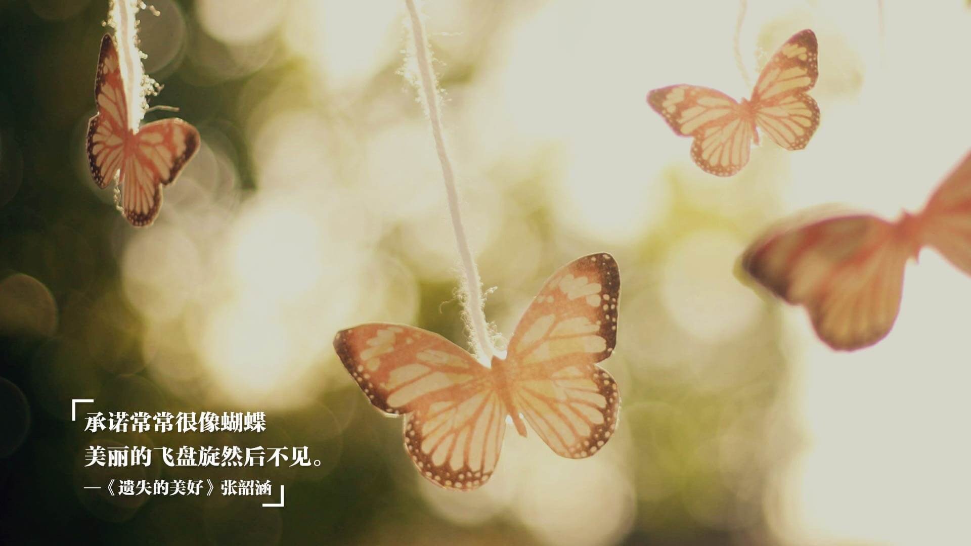 日本马术协会与亚洲马术协会建立合作关系，推动区域发展。，日本马术比赛场地