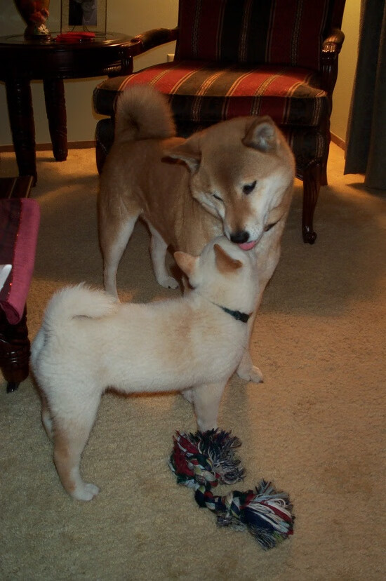 春夏季系列赛：多站联动，热身迎新一轮大赛