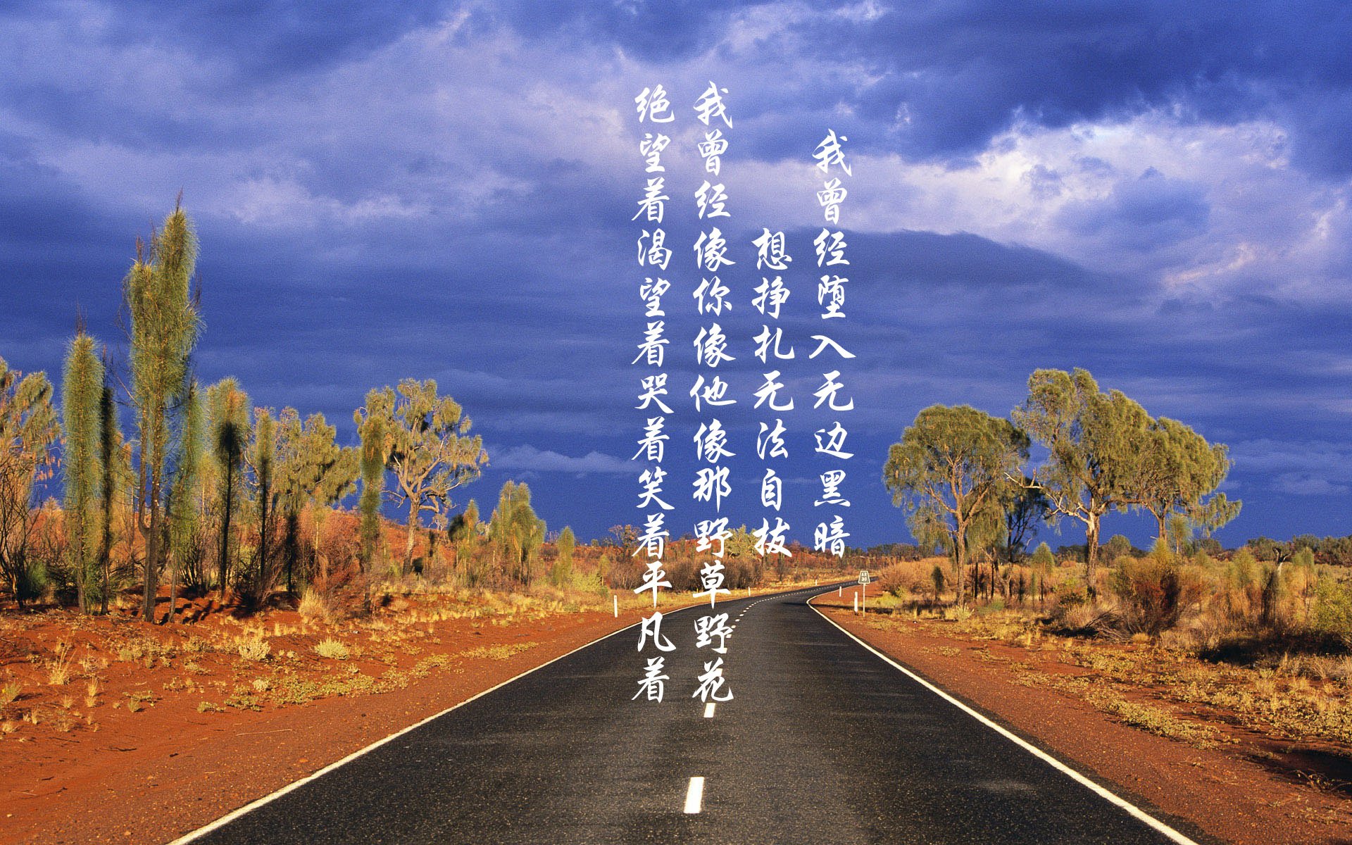 乌拉圭队在世界杯预选赛中连续取得胜利,士气高涨,乌拉圭世界杯名单公布