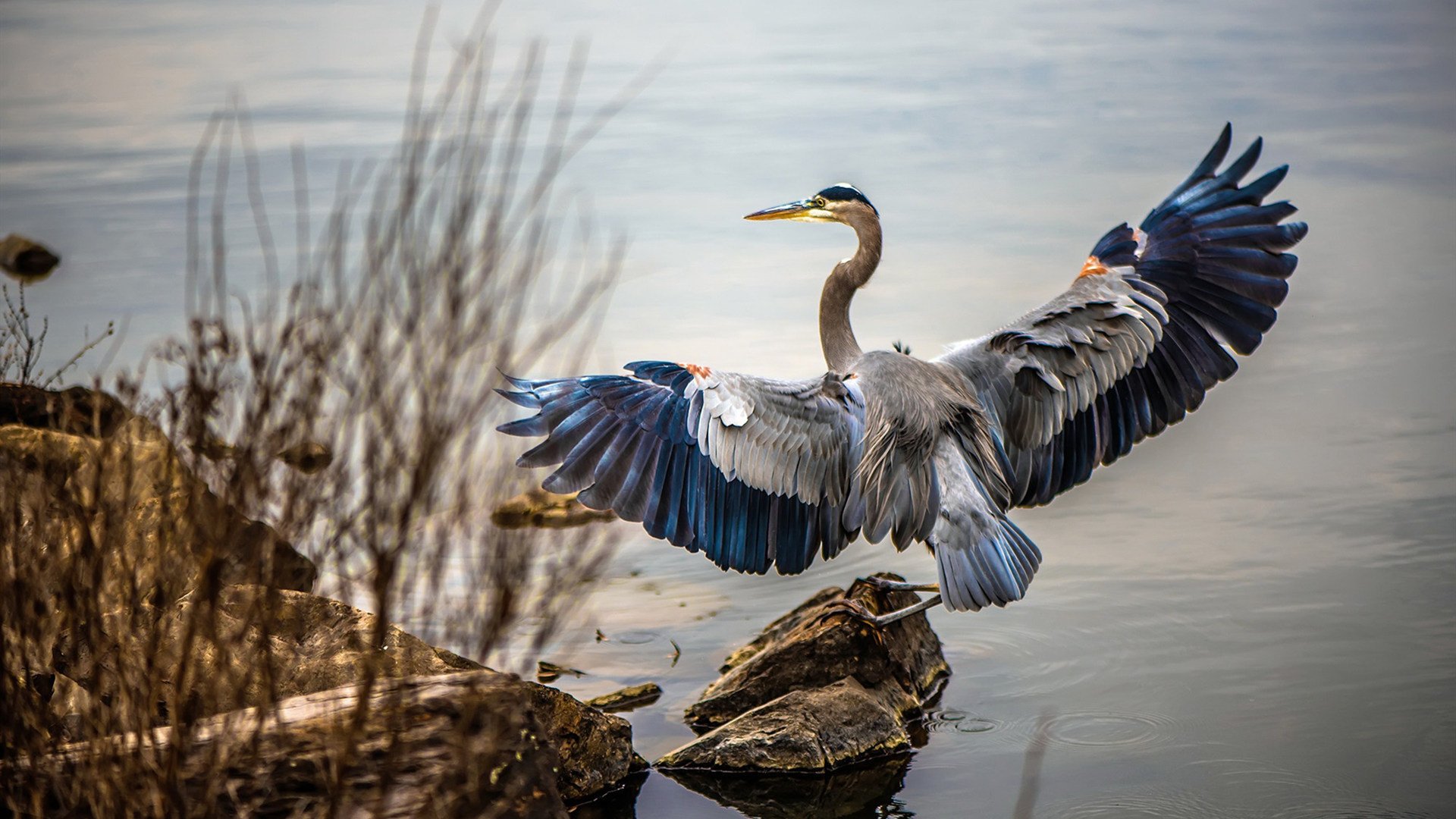 -国足守门员状态稳定，防线更牢固，中国足球国家队守门员
