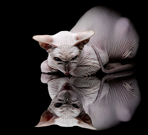 FB体育app下载-女足技战术演练细致，阵型默契度提升，女足练兵