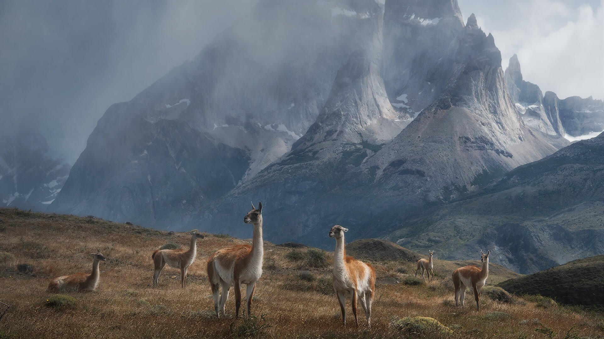 fb体育中国-曼联足总杯决赛加时胜切尔西，B费一传一射封王，曼联全场