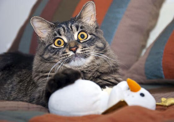 中超比赛节奏控制球员作用分析,中超调节费新政