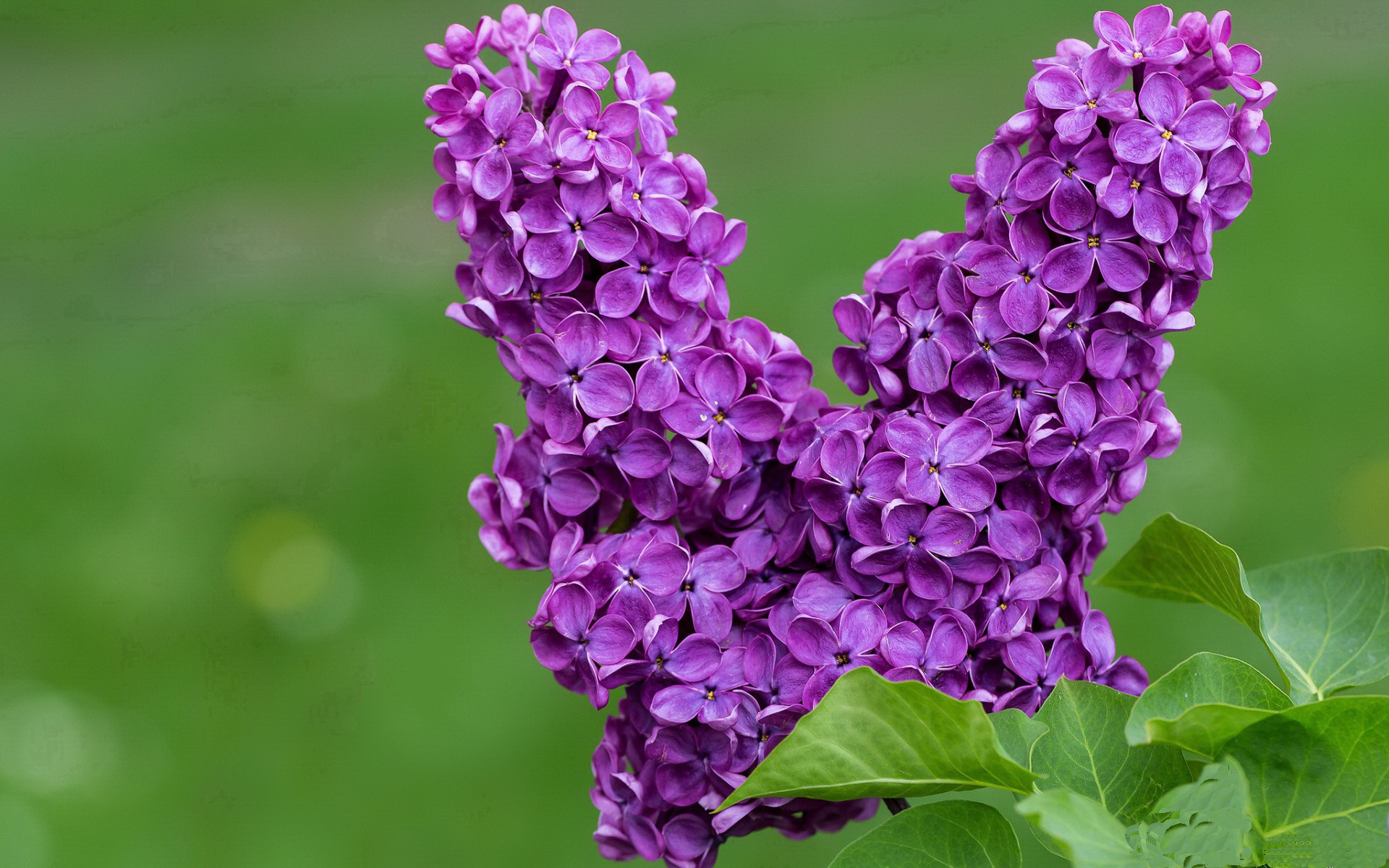 FB体育平台-新闻中心调整销售战略，新闻营销的策略和优势是什么