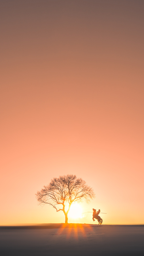 智能体育教学平台功能需求分析,智能体育运动平台