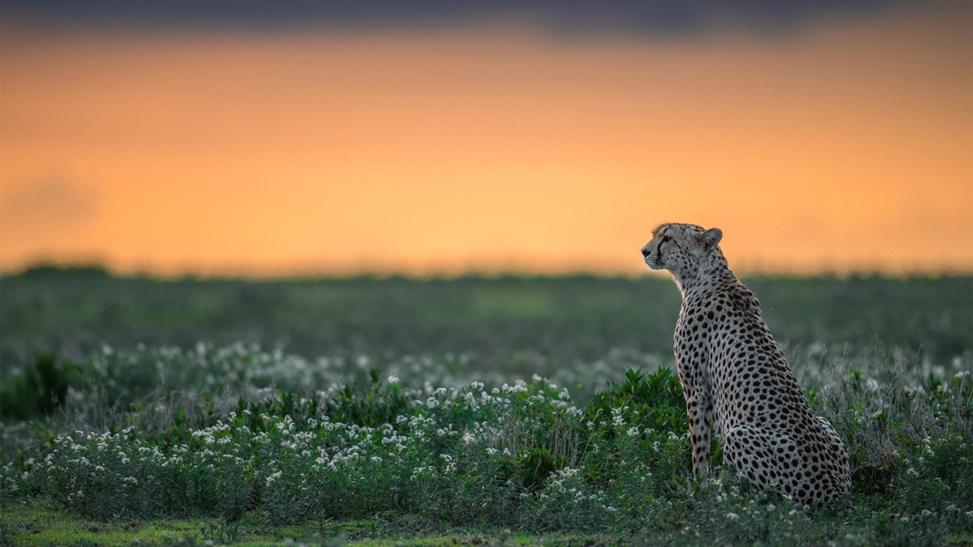 fb体育全站-青少年体质监测数据驱动下的个性化干预策略研究，青少年体质状况调查报告