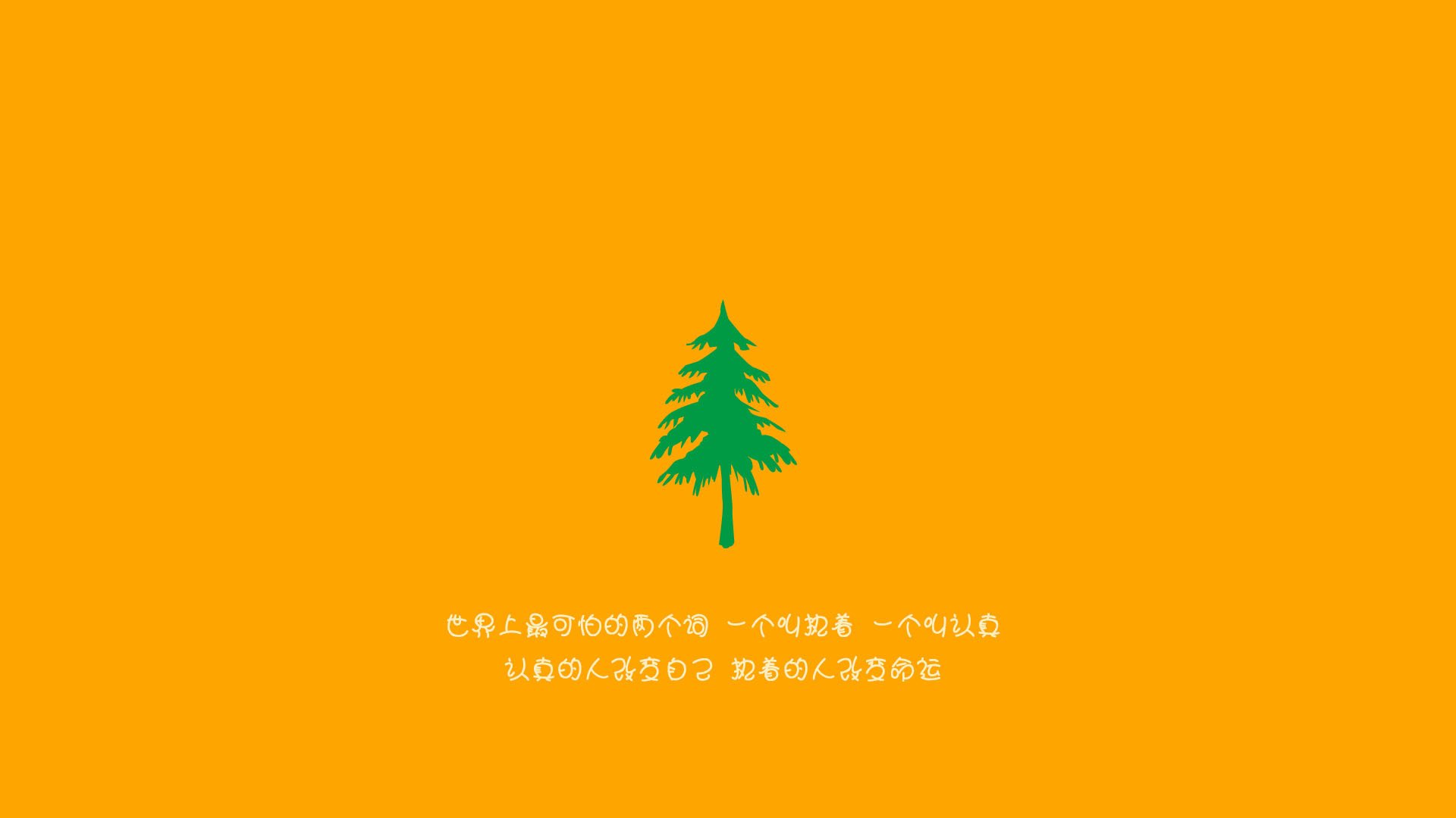 “新秀崭露锋芒,成都滑轮赛场竞争加剧”