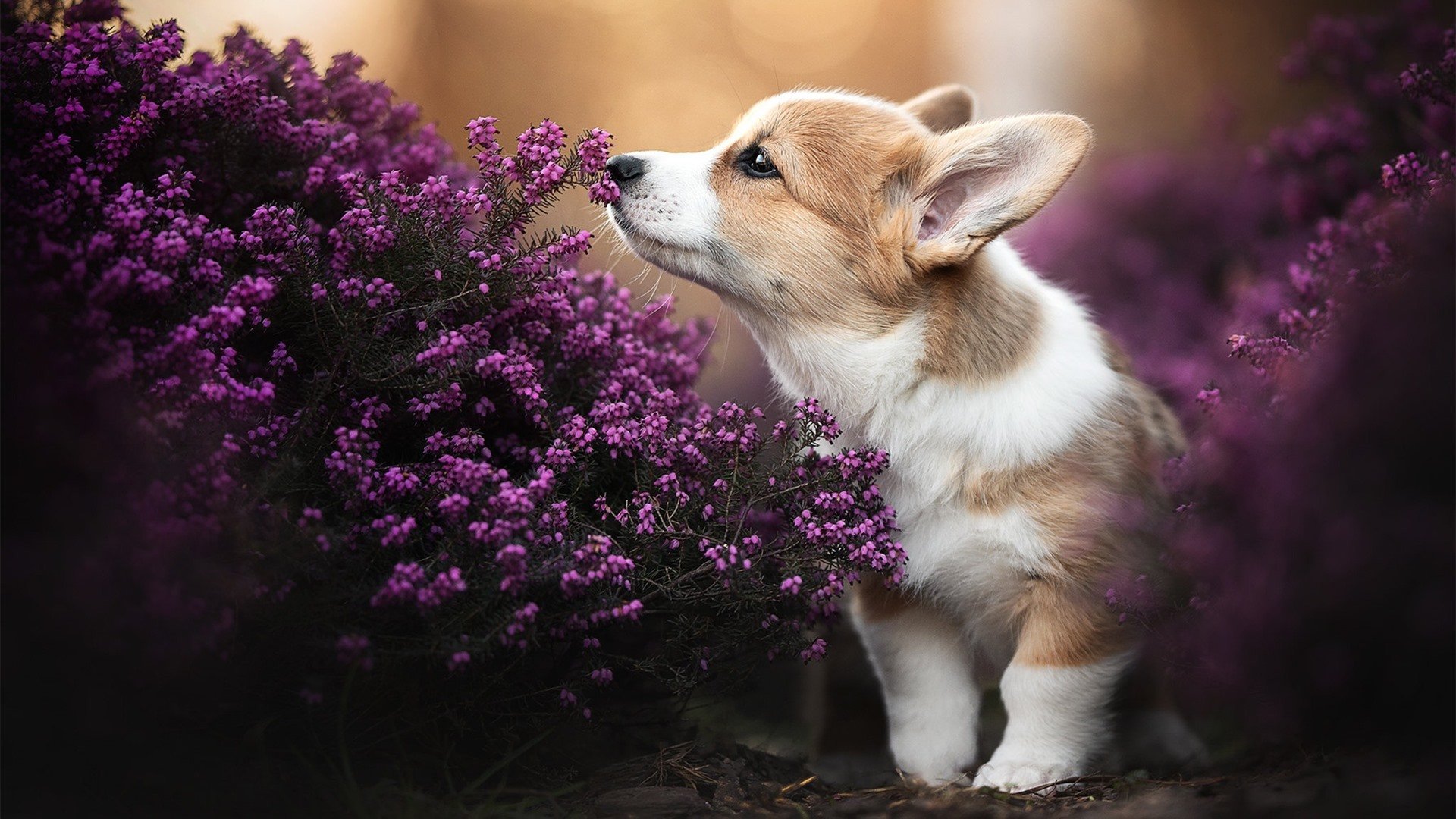 全民健身活动参与度提升，全民健身活动普及