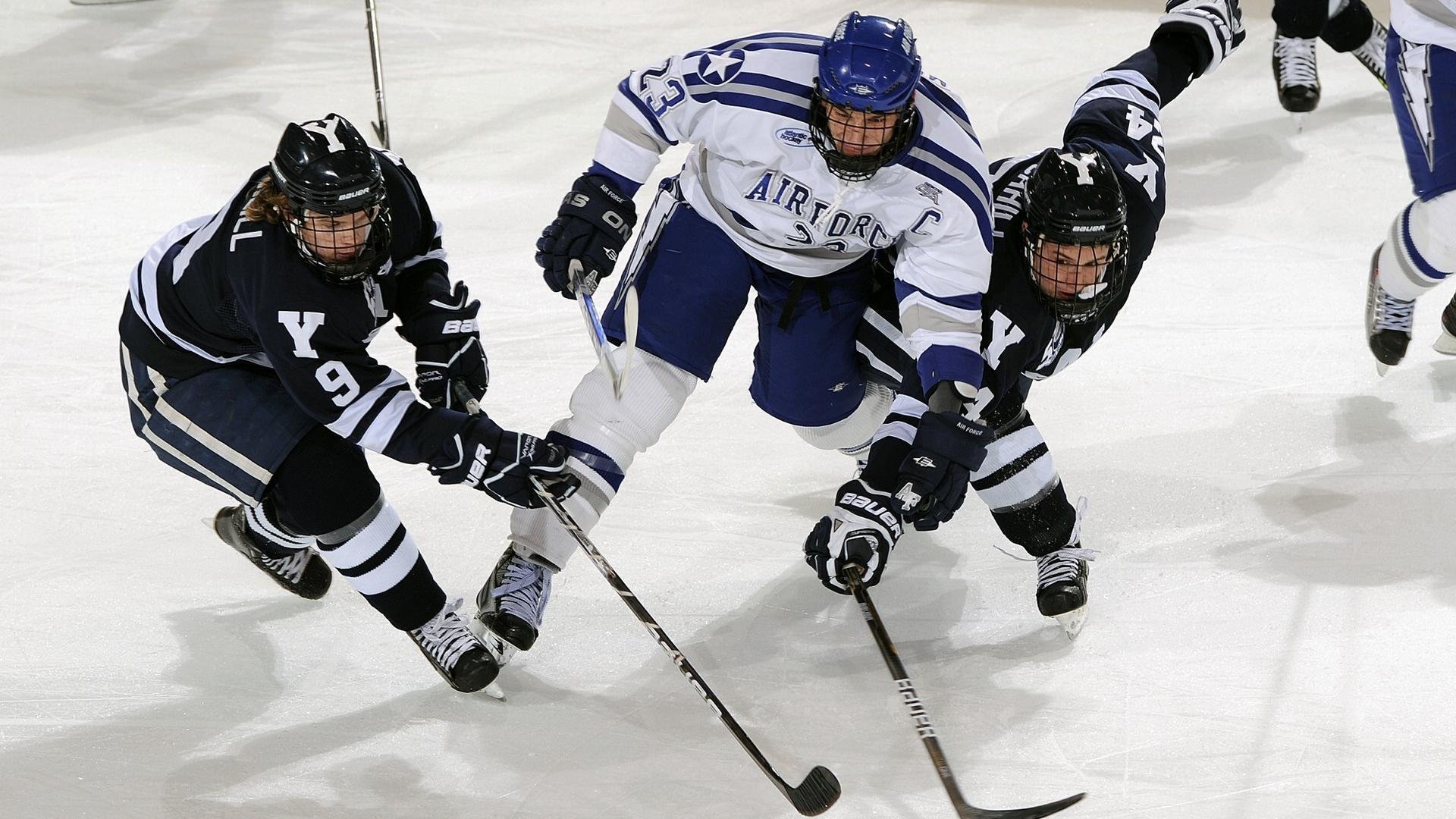 湖人训练营开放日吸引上万球迷，詹眉组合现场合练，湖人 训练